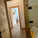 Fra Rose E Mughi Domegge di Cadore