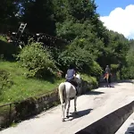 Frühstückspension Fra Rose E Mughi 3*