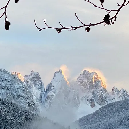 Fra Rose E Mughi Bed & Breakfast