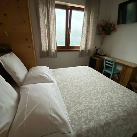 Fra Rose E Mughi * Domegge di Cadore