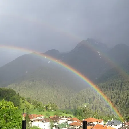 Fra Rose E Mughi * Domegge di Cadore