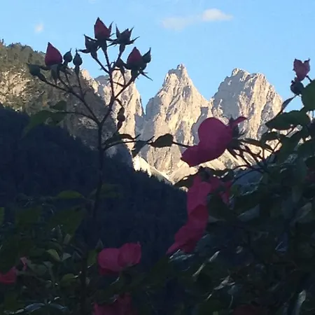 Fra Rose E Mughi * Domegge di Cadore