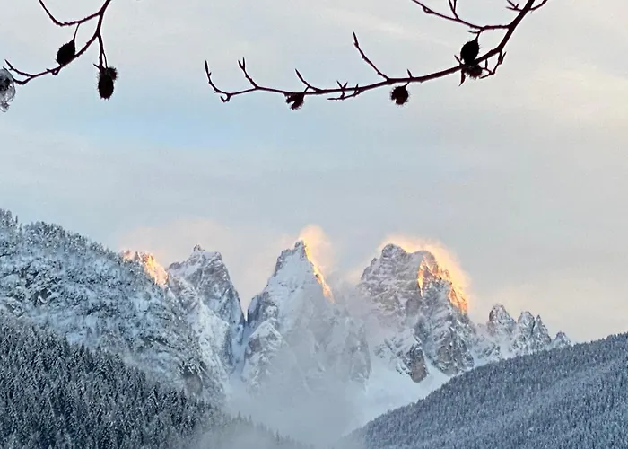 Fra Rose E Mughi Bed & Breakfast