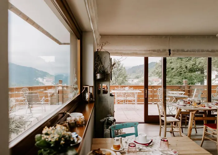 Fra Rose E Mughi Domegge di Cadore