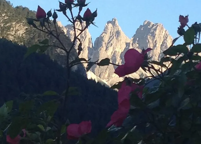 Fra Rose E Mughi 3* Domegge di Cadore