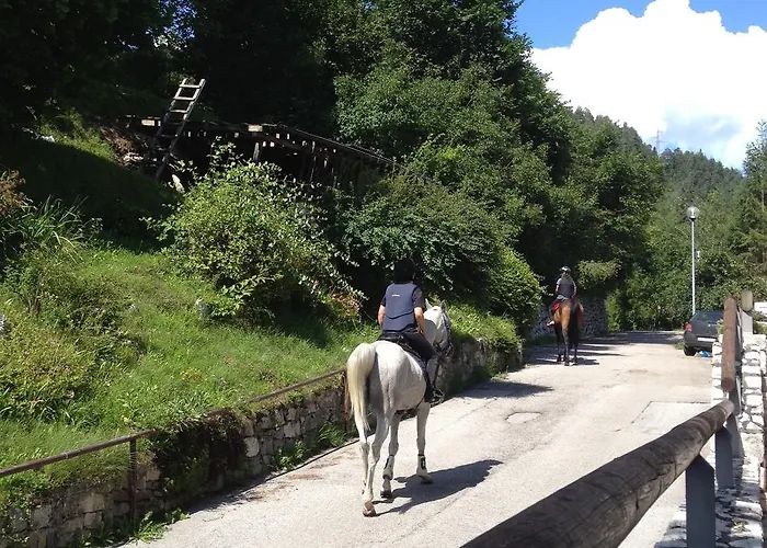 Bed & Breakfast Fra Rose E Mughi 3*