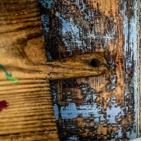 Fra Rose E Mughi 3* 도메게 디 카도레