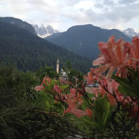 Fra Rose E Mughi B&B 3*