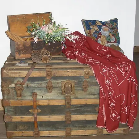 Fra Rose E Mughi Domegge di Cadore