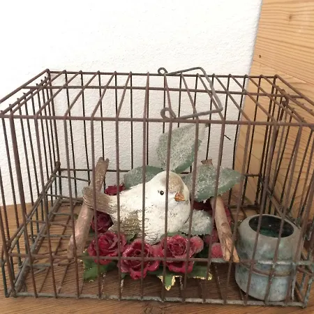 Fra Rose E Mughi 3* 도메게 디 카도레