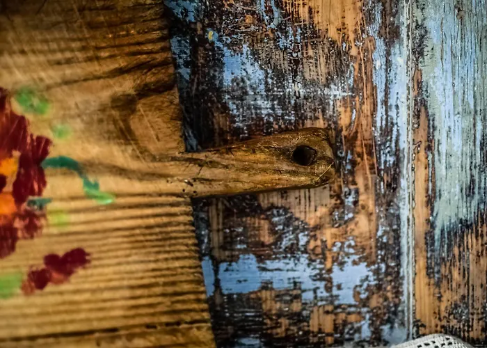 Fra Rose E Mughi 3* Domegge di Cadore