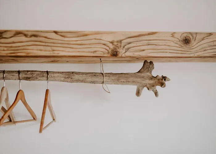 Fra Rose E Mughi Domegge di Cadore