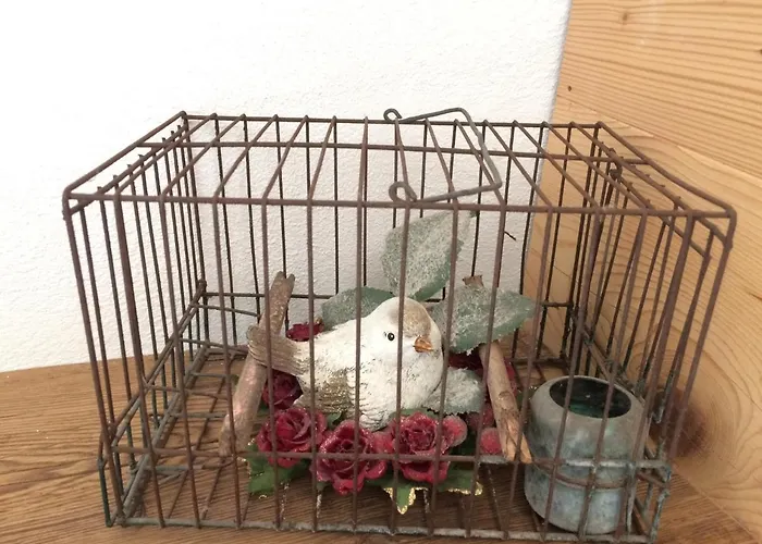 Fra Rose E Mughi 3* Domegge di Cadore